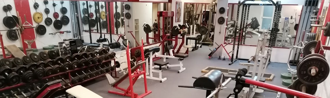 Cardiobereich mit ergonomischen Laufbändern und Crosstrainern